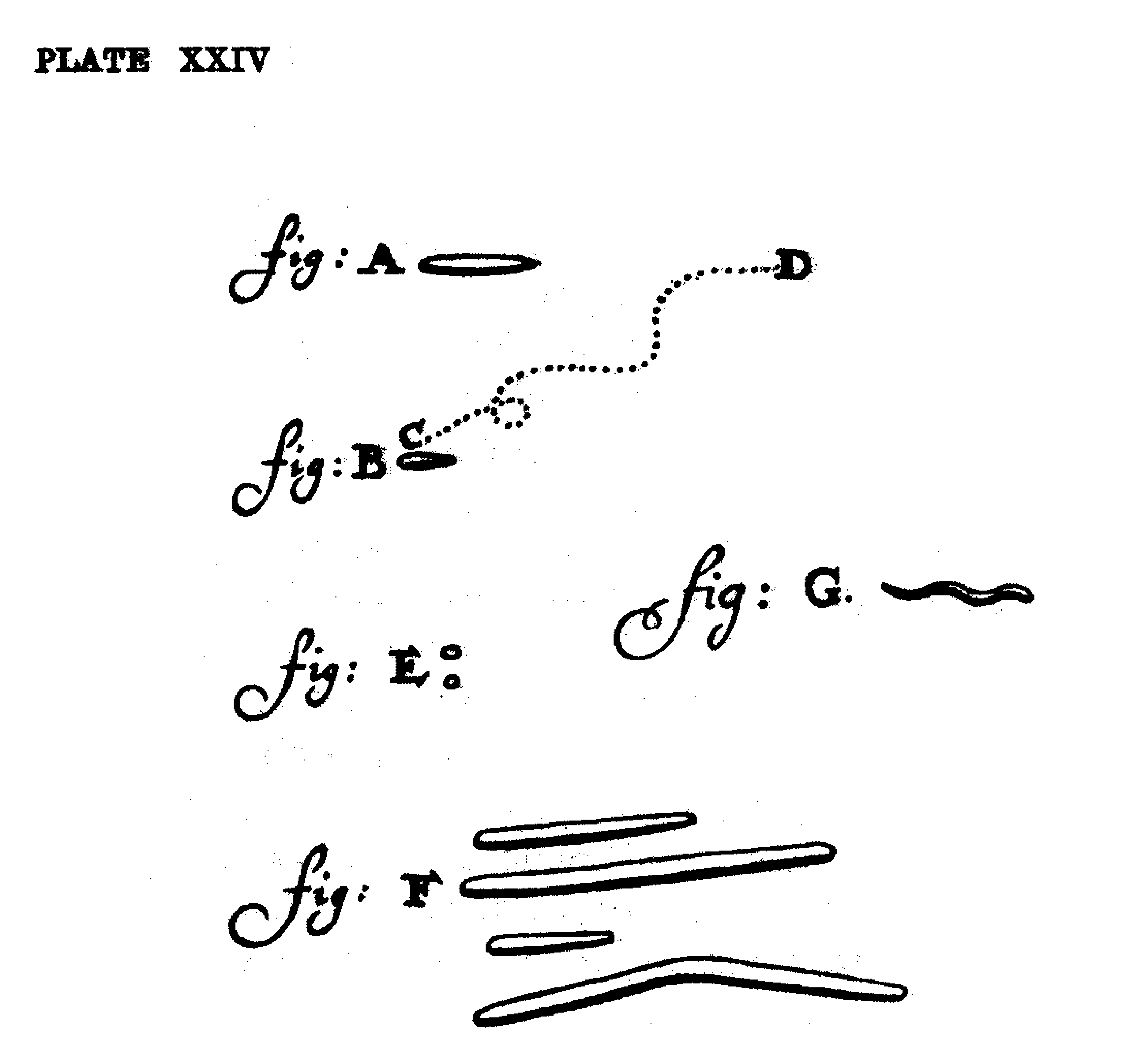 B1_Leeuwenhoek.jpg