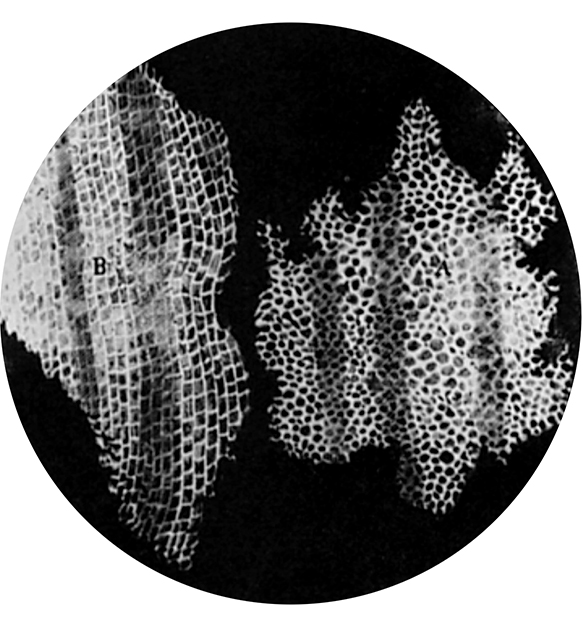 GR005893.jpg